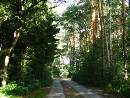 Bild 1 zur Urlaubsidee »Havel-Radtour von Berlin-Spandau nach Wittenberge«