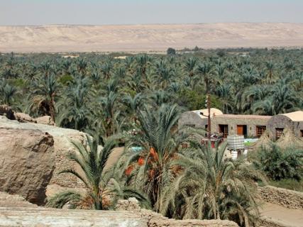 Bild 2 zur Urlaubsidee »Individuell in die Oase Bahariya und die Weiße Wüste in Ägypten reisen«