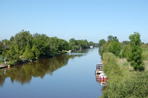 Bild 3 zur Urlaubsidee »Ostfrieslands Natur - Auf den Spuren von Wollgras und Wildgans«