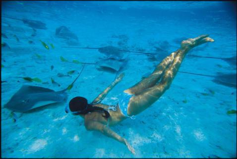 Bild 1 zur Urlaubsidee »Kurs nehmen auf Französisch-Polynesien: Segeln und Tauchen «