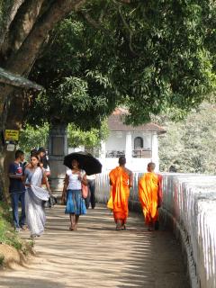 Bild 1 zur Urlaubsidee »Sri Lanka Intensiv«