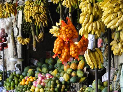 Bild 3 zur Urlaubsidee »Sri Lanka aktiv«