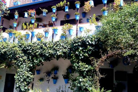 Bild 1 zur Urlaubsidee »Andalusien Rundreise: Granada, Córdoba, Sevilla und Málaga.«