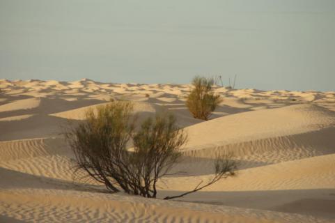 Bild 2 zur Urlaubsidee »Tunesien / Sahara«