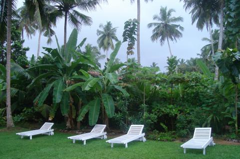 Bild 4 zur Urlaubsidee »Die Kuma Villa - Ayurveda mit der ganz persönlichen Note«