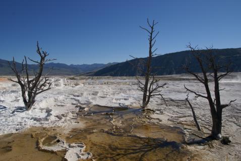 Bild 9 zur Urlaubsidee »USA – Mt. Rushmore / Yellowstone National Park (Radtour)«