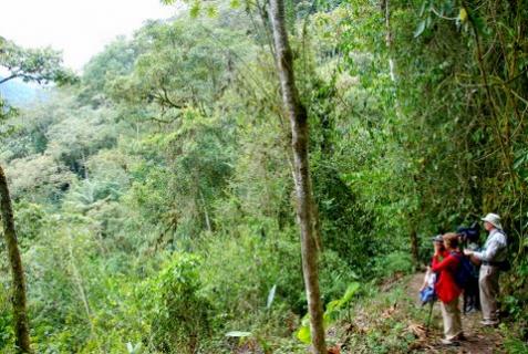 Bild 4 zur Urlaubsidee »Naturwanderungen und Mountainbiketouren auf San Jorge, Ecuador«