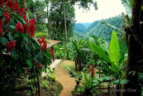 Bild 18 zur Urlaubsidee »San Jorge in Ecuador bietet faszinierende familiengeführte Öko-Lodges inmitten geschützten Bioreservaten«