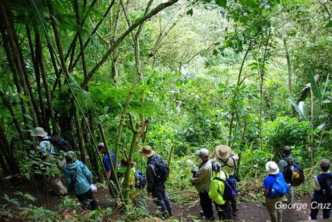 Bild 8 zur Urlaubsidee »Naturwanderungen und Mountainbiketouren auf San Jorge, Ecuador«