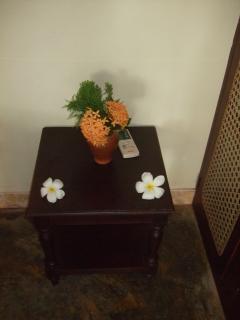 Bild 8 zur Urlaubsidee »Ayurveda im SeethaRama - Garden of Life«