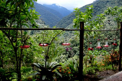 Bild 17 zur Urlaubsidee »Naturwanderungen und Mountainbiketouren auf San Jorge, Ecuador«