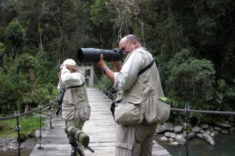 Bild 1 zur Urlaubsidee »Naturwanderungen und Mountainbiketouren auf San Jorge, Ecuador«
