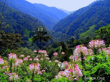 Bild 16 zur Urlaubsidee »Naturwanderungen und Mountainbiketouren auf San Jorge, Ecuador«