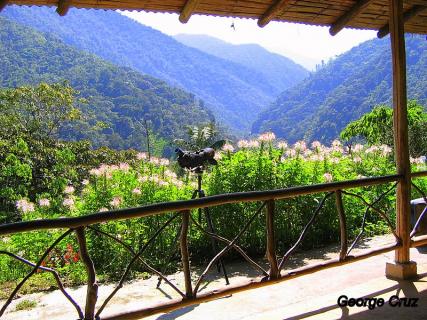 Bild 20 zur Urlaubsidee »San Jorge in Ecuador bietet faszinierende familiengeführte Öko-Lodges inmitten geschützten Bioreservaten«