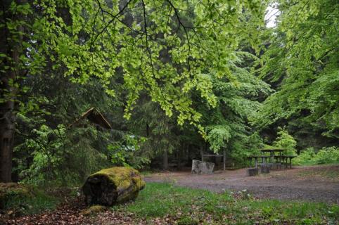 Bild 1 zur Urlaubsidee »Auf dem Ederhöhenweg ins UNESCO Weltnaturerbe«