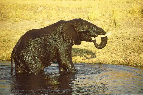 Bild 1 zur Urlaubsidee »Namibia Geo-Foto-Exkursion«