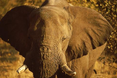 Bild 4 zur Urlaubsidee »Namibia Geo-Foto-Exkursion«