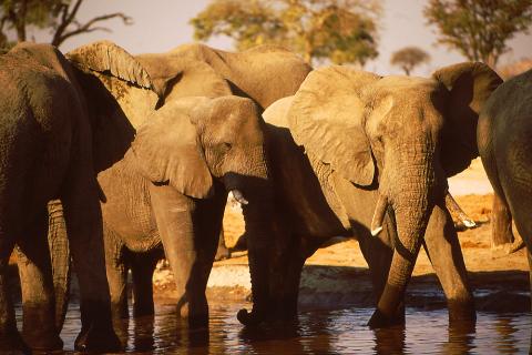 Bild 7 zur Urlaubsidee »Namibia Geo-Foto-Exkursion«
