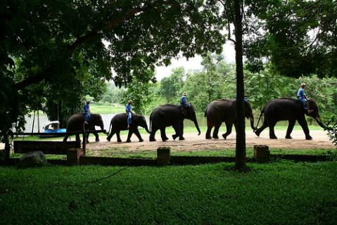 Bild 2 zur Urlaubsidee »Thailand - Überland von Bangkok nach Chiang Mai.«
