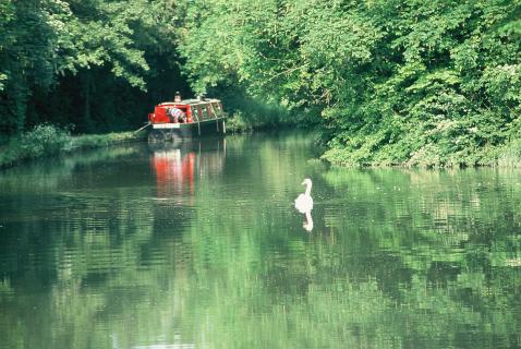 Bild 4 zur Urlaubsidee »Narrowboat Hausboot Charter in England / Schottland«