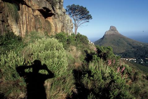 Bild 3 zur Urlaubsidee »Südafrika  - Entlang zweier Weltmeere«