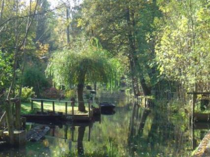 Bild 3 zur Urlaubsidee »Individuelle Rundtour auf dem Gurkenradweg im Spreewald«