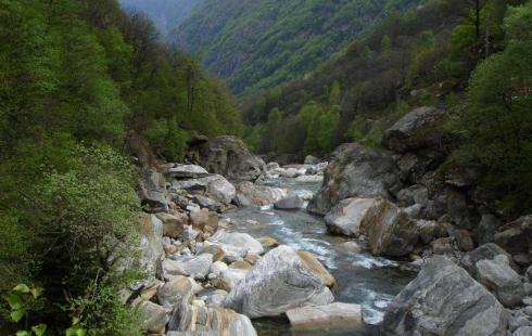 Bild 9 zur Urlaubsidee »Weinstrasse Tessin «