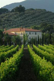 Bild 2 zur Urlaubsidee »Frühling in der Maremma Toskana«