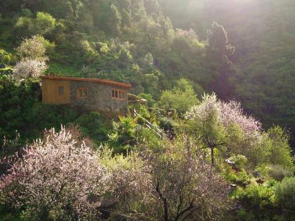 Bild 1 zur Urlaubsidee »Fasten-Retreats auf La Palma/Kanarische Inseln«