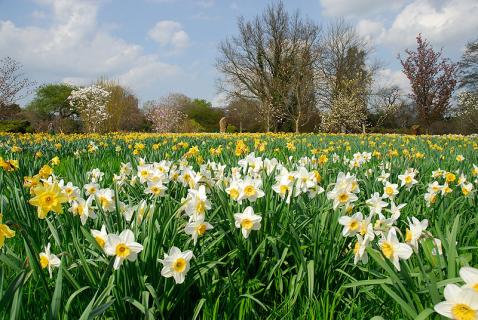Bild 1 zur Urlaubsidee »Frühlingszeit - Osterzeit. Wohlfühlzeit in Ost(er)friesland.«