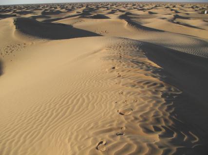 Bild 5 zur Urlaubsidee »Massage für die Seele  -  1 Woche Camp in der Wüste Sahara«