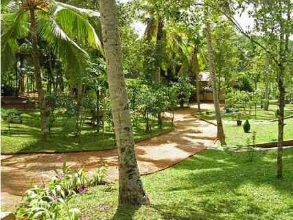 Bild 6 zur Urlaubsidee »Ayurveda im SeethaRama - Garden of Life«