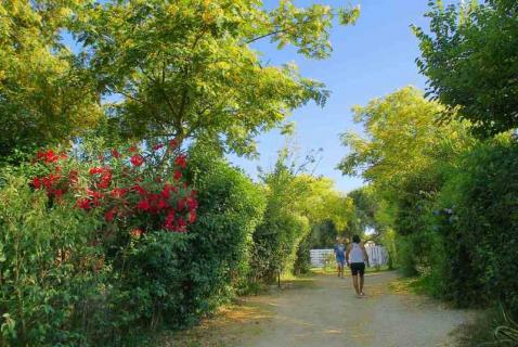 Bild 2 zur Urlaubsidee »Yoga Retreat in Grüner Oase am Traumstrand von Zahora - Andalusien, Spanien«