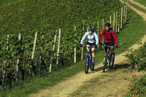 Single reisen tessin