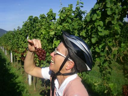 Bild 8 zur Urlaubsidee »Radfahren & Genießen – Entdecker- und Erlebnisradtouren an der Deutschen Weinstraße.«