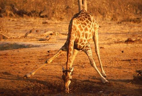 Bild 6 zur Urlaubsidee »Namibia Geo-Foto-Exkursion«