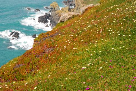 Bild 3 zur Urlaubsidee »Kanalinsel Guernsey: Wandern "zwischen England und Frankreich"«
