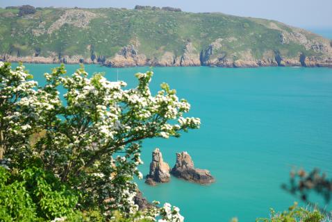Bild 4 zur Urlaubsidee »Kanalinsel Guernsey: Wandern "zwischen England und Frankreich"«