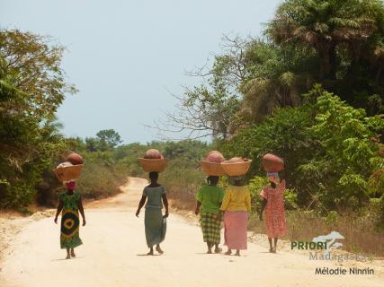 Bild 4 zur Urlaubsidee »Guinea-Bissau - ein einzigartiges, unendecktes Reiseziel in Westafrika«