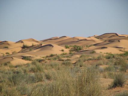 Bild 12 zur Urlaubsidee »In der südtunesischen Sahara den Alltag einer Wüstenkarawane erleben«