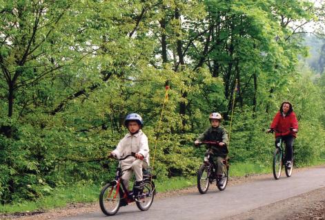 Bild 3 zur Urlaubsidee »Sonnenhotel Kreuzeck«