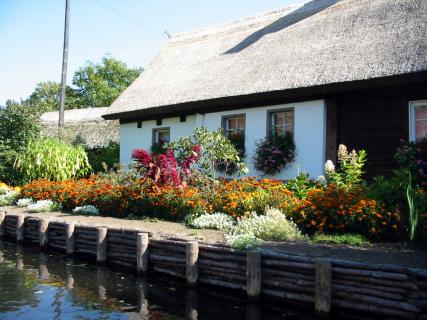 Bild 3 zur Urlaubsidee »Individuelle Rundtour auf dem Gurkenradweg im Spreewald«