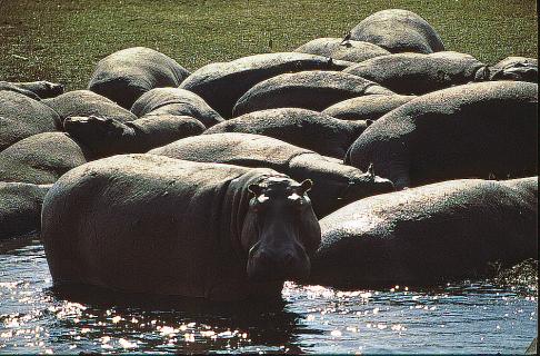 Bild 5 zur Urlaubsidee »Namibia Geo-Foto-Exkursion«