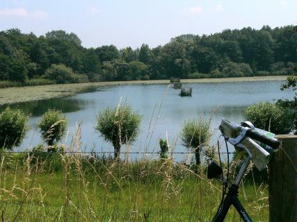Bild 3 zur Urlaubsidee »Gemütlich Mit Rad/Schiff durch Holland «