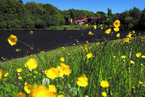 Bild 3 zur Urlaubsidee »Entdecke die Vielfalt - im Ringhotel Köhlers Forsthaus in Aurich!«