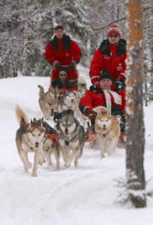 Bild 2 zur Urlaubsidee »Winterabenteuer am Polarkreis im Wildniszentrum Bears Lodge mit Suomi Travel«