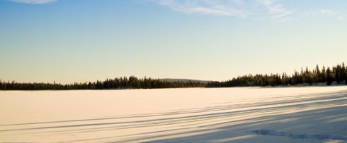 Bild 3 zur Urlaubsidee »Hundeschlitten - Silence of lapland«