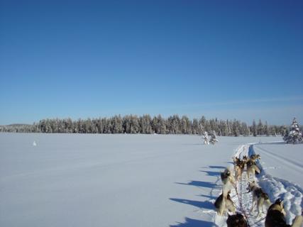 Bild 6 zur Urlaubsidee »Lappland-Wochenende für Singles - Driving on Snow & Ice«