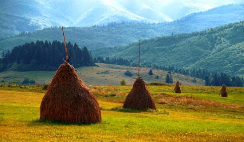 Bild 6 zur Urlaubsidee »WANDERN IN DEN UKRAINISCHEN KARPATEN MIT LEMBERG«