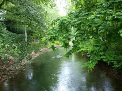 Bild 5 zur Urlaubsidee »Individuelle Radreise am Ilmtal-Radweg von Ilmenau nach Weimar«